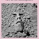 Image for article titled 5 new books to read in May
